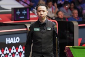 包含斯诺克夜战：岭南天虎队鏖战徽州霹雳队，速度优势明显赛季拐点或已出现的词条